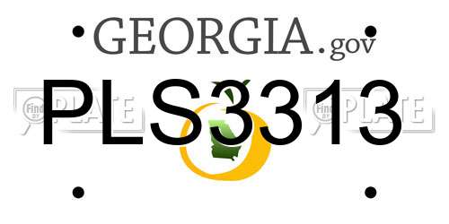 PLS3313 Georgia License Plate