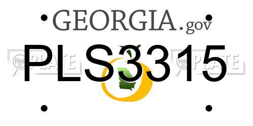 PLS3315 Georgia License Plate