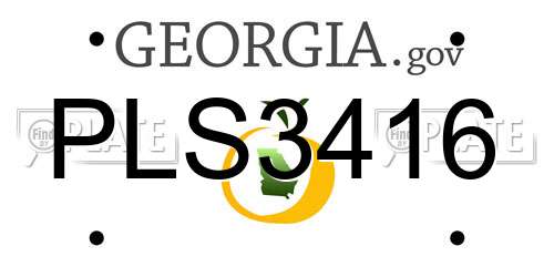 PLS3416 Georgia License Plate
