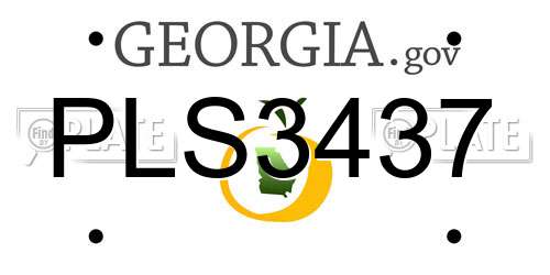 PLS3437 Georgia License Plate