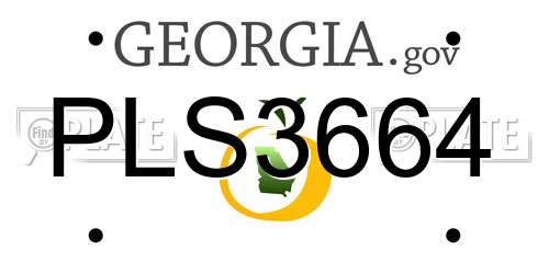 PLS3664 Georgia License Plate