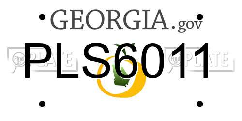 PLS6011 Georgia License Plate