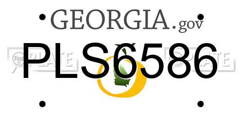 PLS6586 Georgia License Plate