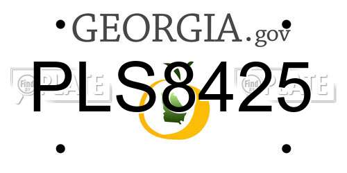 PLS8425 Georgia License Plate
