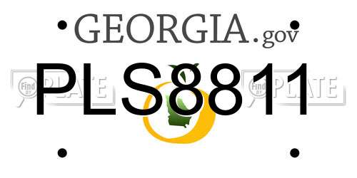 PLS8811 Georgia License Plate