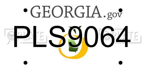 PLS9064 Georgia License Plate
