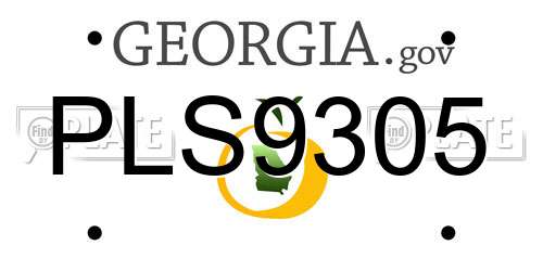 PLS9305 Georgia License Plate