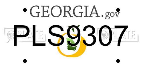 PLS9307 Georgia License Plate