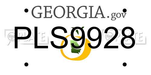 PLS9928 Georgia License Plate