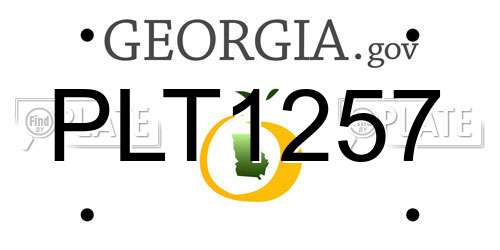PLT1257 Georgia License Plate