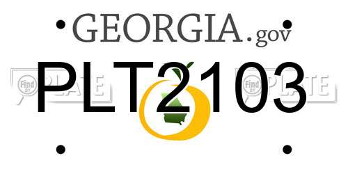 PLT2103 Georgia License Plate