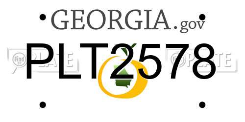 PLT2578 Georgia License Plate