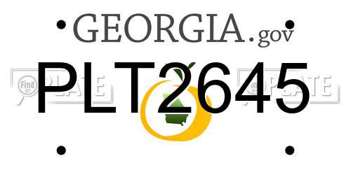 PLT2645 Georgia License Plate