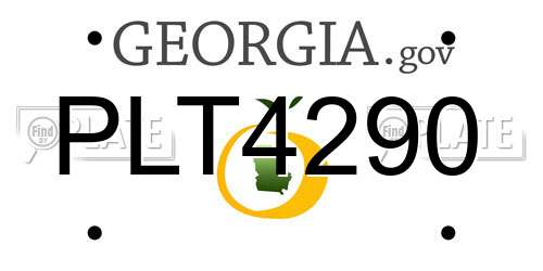 PLT4290 Georgia License Plate