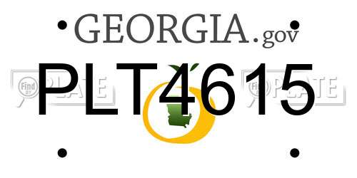 PLT4615 Georgia License Plate