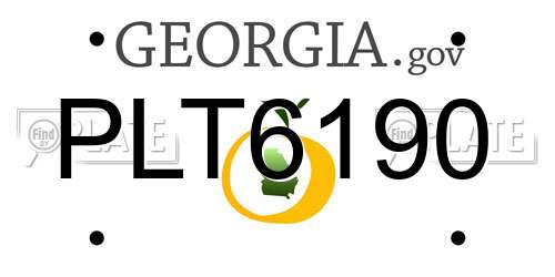 PLT6190 Georgia License Plate