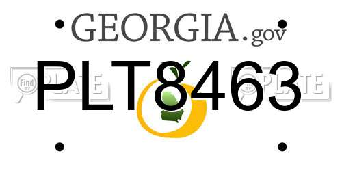 PLT8463 Georgia License Plate