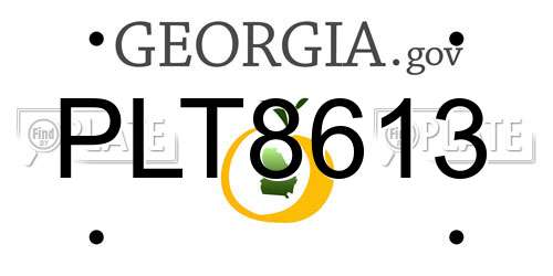 PLT8613 Georgia License Plate