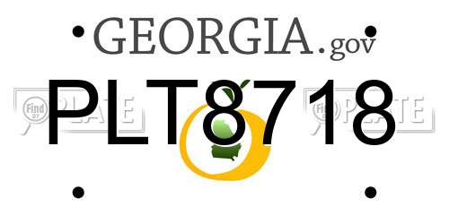 PLT8718 Georgia License Plate