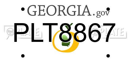 PLT8867 Georgia License Plate