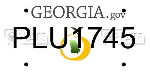 PLU1745 Georgia License Plate