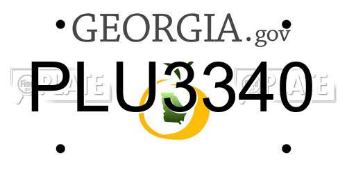 PLU3340 Georgia License Plate