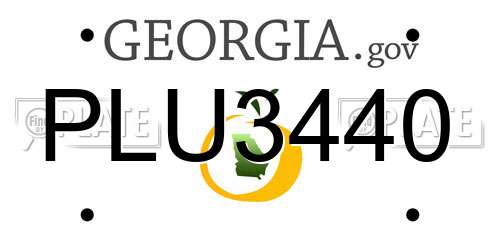 PLU3440 Georgia License Plate