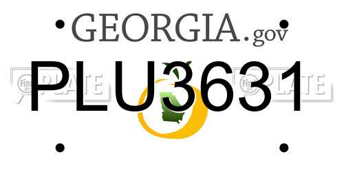 PLU3631 Georgia License Plate