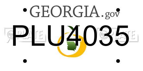 PLU4035 Georgia License Plate