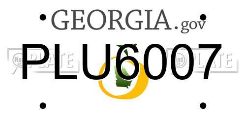 PLU6007 Georgia License Plate