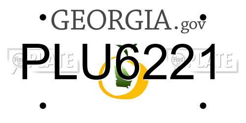 PLU6221 Georgia License Plate