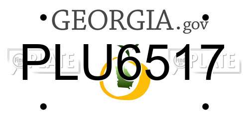 PLU6517 Georgia License Plate