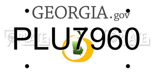 PLU7960 Georgia License Plate