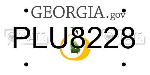 PLU8228 Georgia License Plate