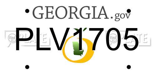 PLV1705 Georgia License Plate