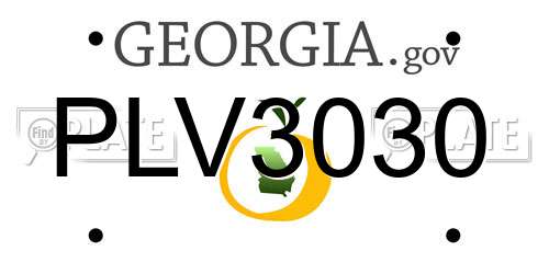 PLV3030 Georgia License Plate