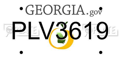 PLV3619 Georgia License Plate