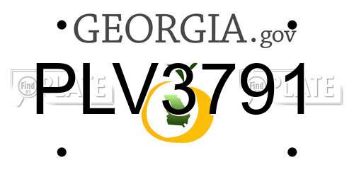 PLV3791 Georgia License Plate