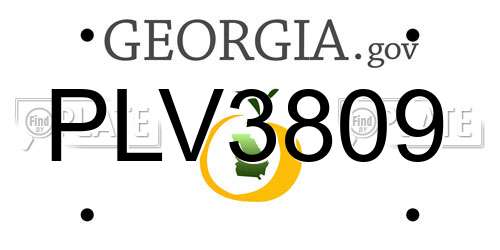 PLV3809 Georgia License Plate
