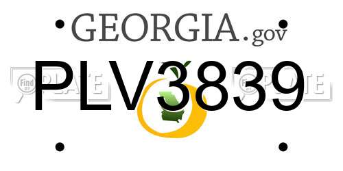 PLV3839 Georgia License Plate