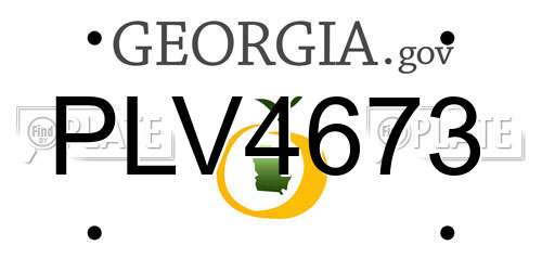 PLV4673 Georgia License Plate