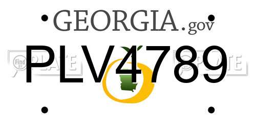 PLV4789 Georgia License Plate