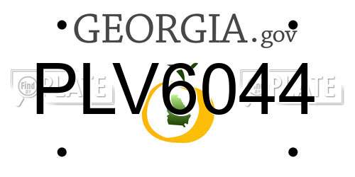 PLV6044 Georgia License Plate
