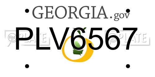 PLV6567 Georgia License Plate