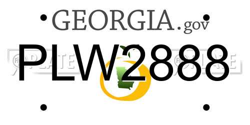 PLW2888 Georgia License Plate