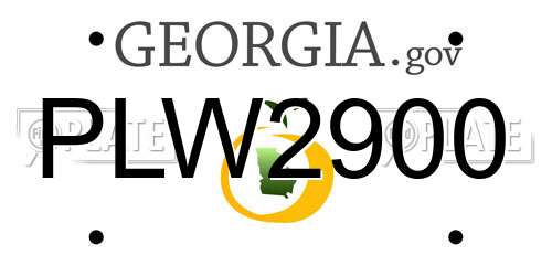 PLW2900 Georgia License Plate