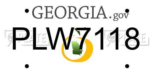 PLW7118 Georgia License Plate