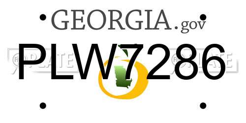 PLW7286 Georgia License Plate
