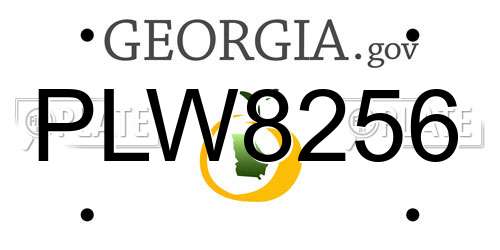 PLW8256 Georgia License Plate