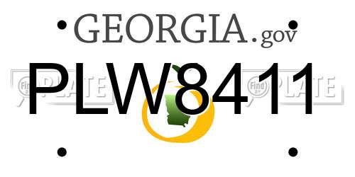 PLW8411 Georgia License Plate